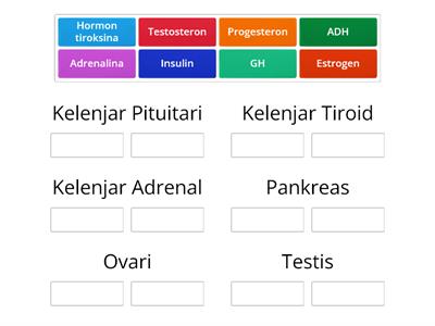 SAINS KSSM: Kelenjar Endokrin & Hormon