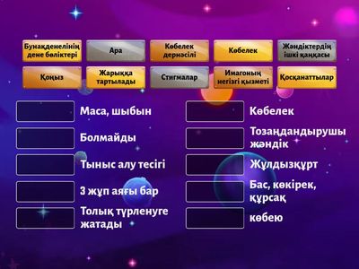 Бунақденелі