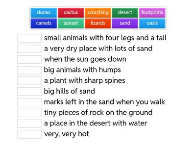 2 - Rainforest - Match Words & Definitions
