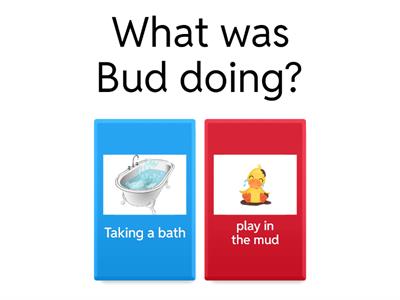 Bud the Duck Quiz