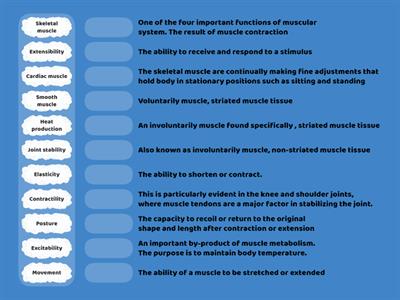 C03. Muscular Sys (1) - Intro