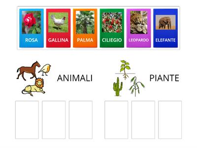 ANIMALI E PIANTE - Classificazione (Foto) - Difficoltà ALTA