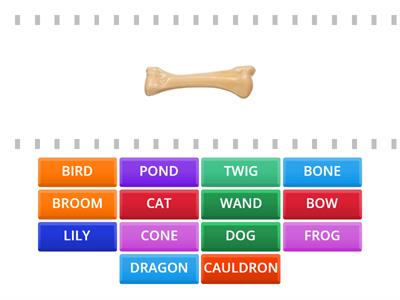 Room on the Broom Vocabulary