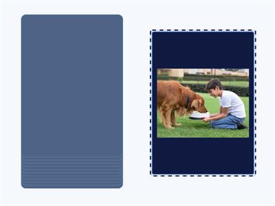 Household chores. Gogetter 3