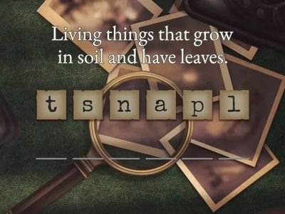 G3 and G4 Scrambled Spelling