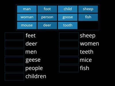 Plural nouns 1 Irregular