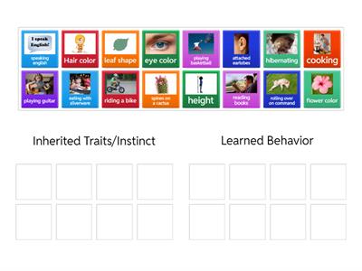 Inherited Traits/Instinct or Learned Behavior (Sort)