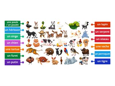 les animaux - level 3