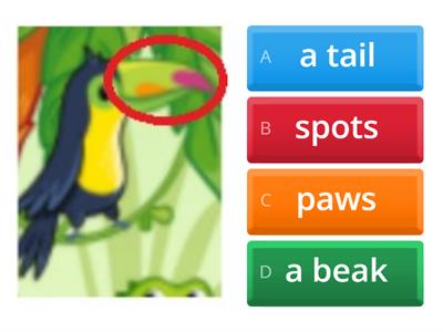  Wild Animals: Body Parts