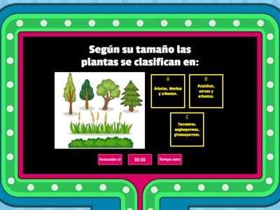 Clasificación de las plantas según su tamaño