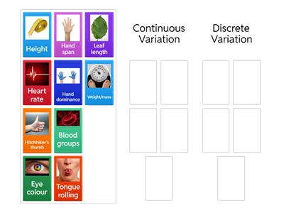 Continuous and Discrete Variation