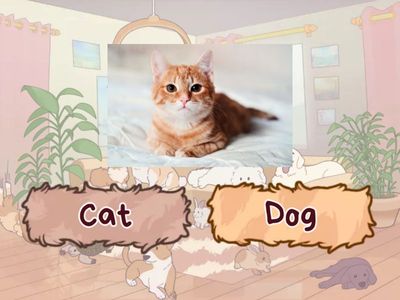 Beginner - RAZ -04 Pets