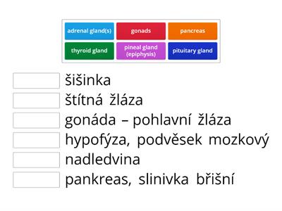 U10 Endocrine glands (English - Czech)