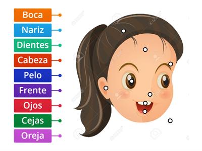 Partes de la cara 2