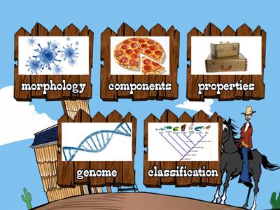 Summary: nature of virus