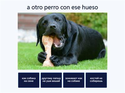 Фразеологизмы испанский