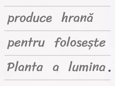 Fotosinteza - fișă pentru elevii cu cerințe educaționale speciale