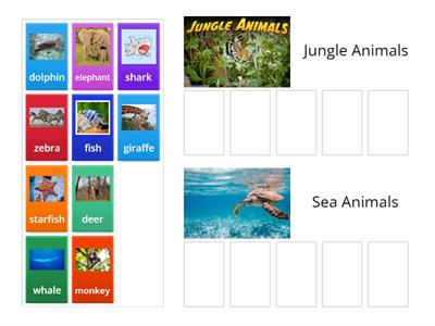 Sort animals into two groups. 