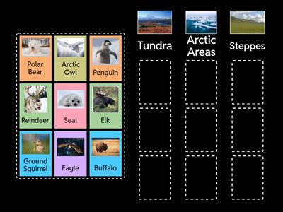 Put the animal into the correct biom