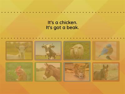 UNIT 10 - Describing animals