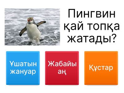 тапсырма жануарлар 