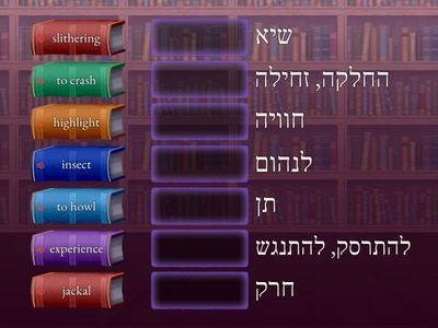 The Bush at Night Vocabulary