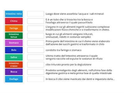   APPARATO DIGERENTE