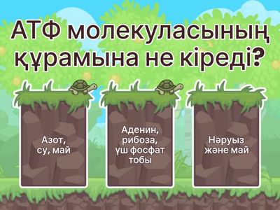 АТФ бойынша сұрақтар