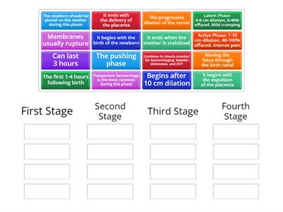 STAGES OF LABOR