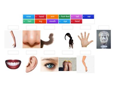 Комарова 3 body parts