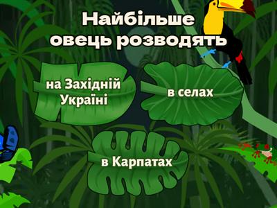 Наш коледж - це круто!