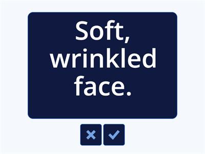 Sentence or Fragment?