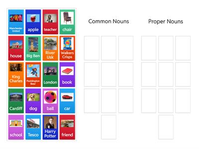 Common Noun / Proper Noun