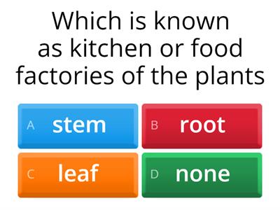 Quiz-PT1 Revision grade 6(chapter1,2,3)