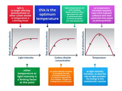 Nat 5 3.3 photosynthesis limiting factors