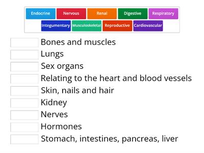 Anatomy and physiology systems