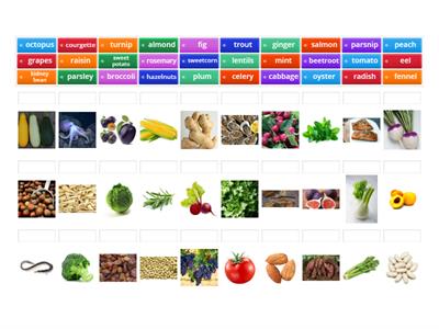 Upper Intermediate Food