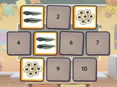 Ciclo de vida de la rana