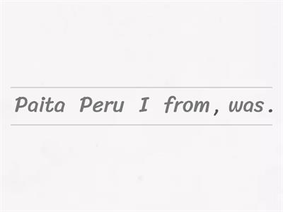 Past simple Wh questions 