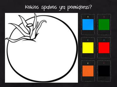  Spalvos