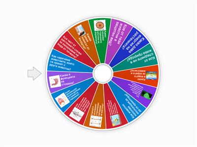 Колелото на късмета