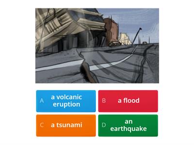 QUIZ -  P3 DISASTERS