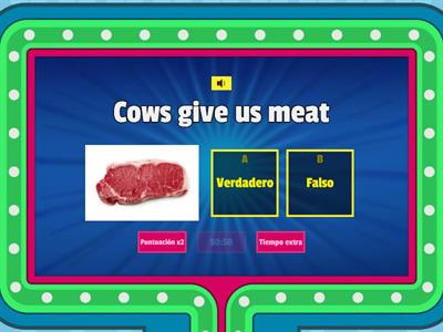 Concurso - Food from animals