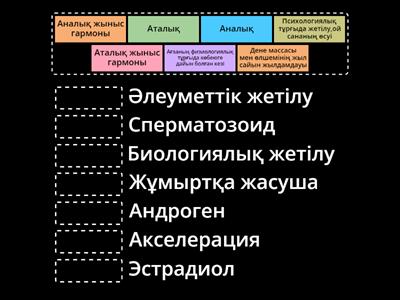 Жыныстық қатынасқа арналған белдіксіз белдіктер