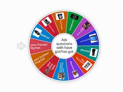 Have got/has got questions