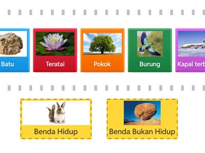 Benda Hidup dan Bukan Hidup