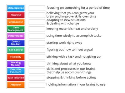 Executive Functioning Skills