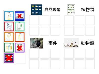 金Aping好夢與惡夢