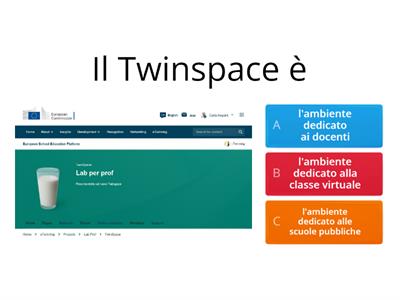 ESEP eTwinning Twinspace 