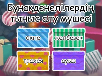 Бунақденелілер